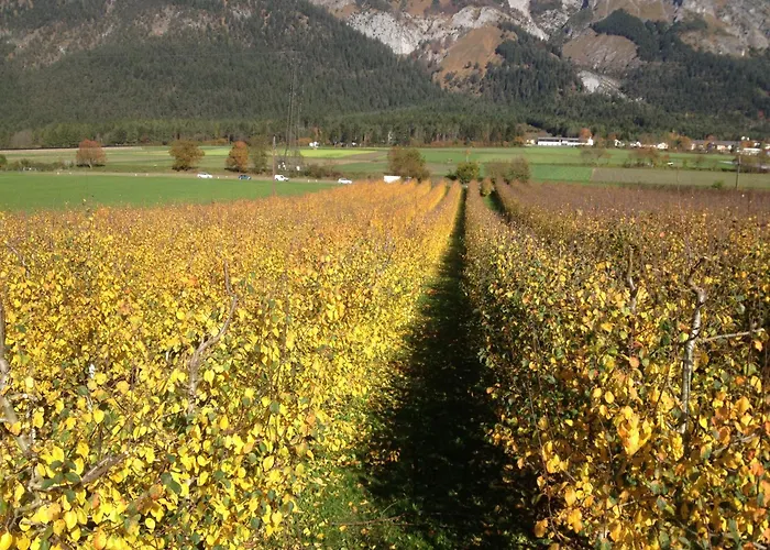 Apartamento Bogner *